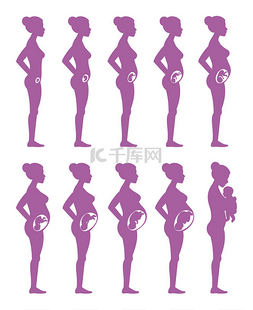 妊娠阶段。孕妇、 母亲和婴儿矢