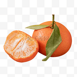 手拿桔子图片_水果食品柑橘桔子