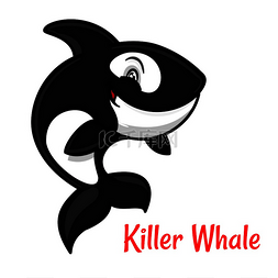 鲸鱼吉祥物设计图片_黑白斑点虎鲸卡通人物跃出水面呼