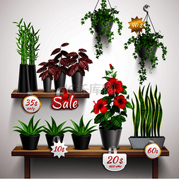 花卉矢量图图片_带有室内植物和花卉矢量图的逼真