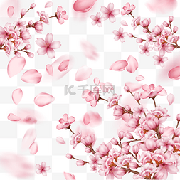 樱花光图片_春季边框光效粉色樱花花瓣飘落