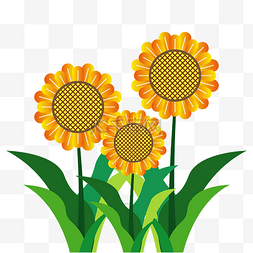 植物夸张图片_明黄向日葵潮流花朵