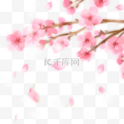 粉色浪漫樱花花瓣