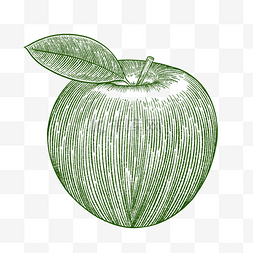 木刻版画图片_铜版画绿色线描线稿水果苹果