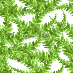 热带森林树叶图片_蕨类植物叶子的无缝图案天然热带