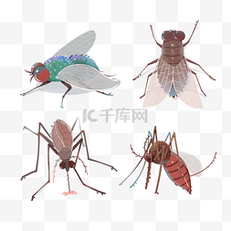 害虫苍蝇蚊子吸血飞行五害