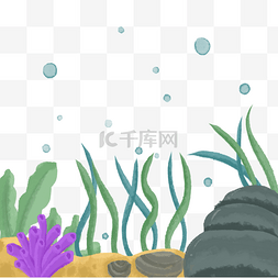 水彩海草图片_水彩海洋珊瑚生物贝壳