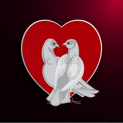浪漫情侣白色背景图片_相爱的白鸽情侣看着对方，大红色