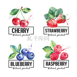 矢量手绘水彩横幅图片_环保食品标签套装水彩手绘浆果素