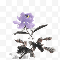 水墨紫色芍药花
