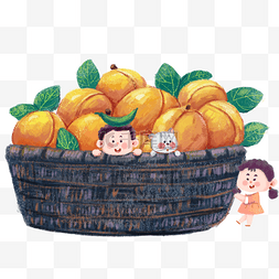 一筐水果杏子儿童