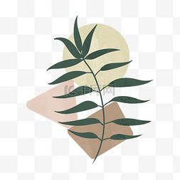 波米亚风格图片_装饰画美丽抽象波西米亚风格植物