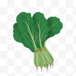 一捆图片_一捆绿色的菠菜剪贴画