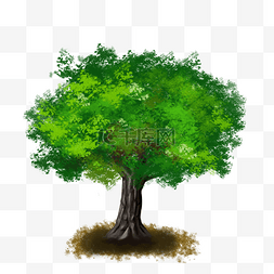 绿色花树图片_桑树