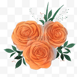 向日葵玫瑰图片_橙色水彩月季