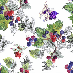 葡萄和叶子图片_无缝水彩图案与叶子和浆果