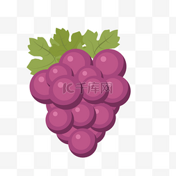 葡萄片图片_矢量素材紫色葡萄