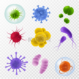 新型冠状类病毒图片_真实的细菌显微镜下的芽孢杆菌和