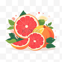 夏季扁平卡通鲜切橙子