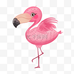 手绘粉色可爱火烈鸟