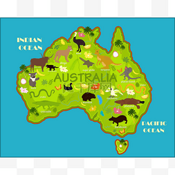     澳大利亚动物矢量图 