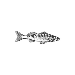 海鲜市场图片图片_鱼类媒介图标盐水生物鱼类钓鱼俱