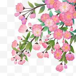 春季桃花树枝图片_春季植物粉色花草桃花樱花树枝花