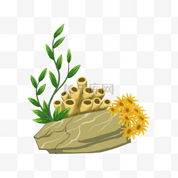 植物茎叶图片_海藻岩石海绵海葵植物插画