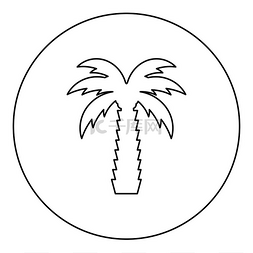 棕榈树热带椰子图标圆形黑色矢量