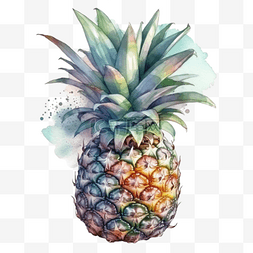 卡通手绘水果菠萝
