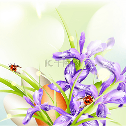 复活节问候用鸡蛋和瓢虫和花背景