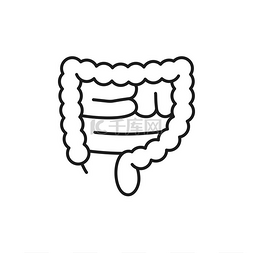 乳酸菌图标图片_人体大肠孤立轮廓细线图标矢量消
