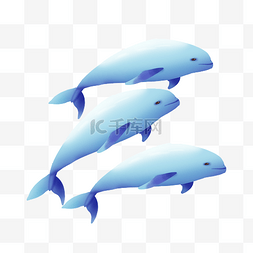 保护海洋动物图片_海豚江豚