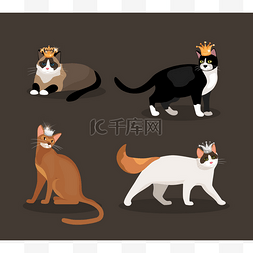 君主卡通图片_四只猫，戴着王冠的一整套