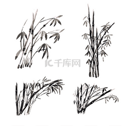 水彩颜料竹，孤立在白色背景上.