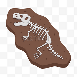 恐龙化石的类型图片_恐龙化石卡通化石剪贴画