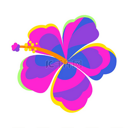 花热带图片_程式化的芙蓉花的插图。