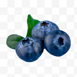 黑皮大李子图片_莓果食物蓝莓