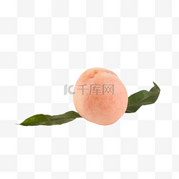 水蜜桃桃子