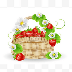 手绘草莓篮子图片_篮子里的草莓