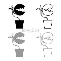 黑色陷阱图片_食虫植物 Flytrap Monster 与牙齿在锅