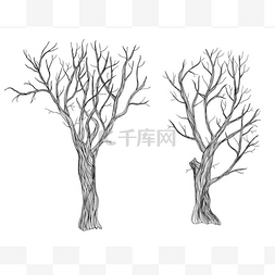 手工绘制的树 