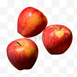 水果红富士苹果