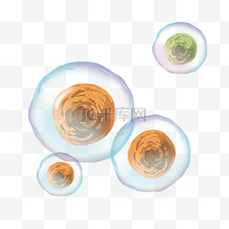 化学分子气泡图片_抽象光效分子细胞