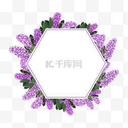 边框丁香花图片_水彩丁香花卉婚礼六边形边框