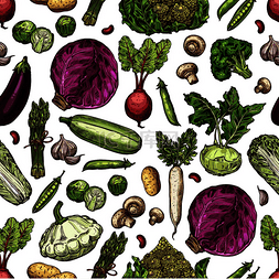 蘑菇沙拉图片_蔬菜素描图案背景南瓜鳄梨和胡椒