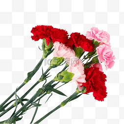 红色鲜花花束图片_母亲节康乃馨鲜花花束