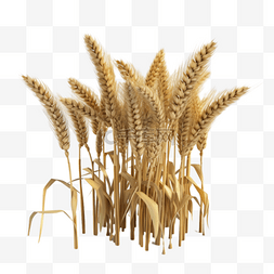 卡通手绘农作物小麦麦穗