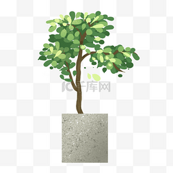 室内植物盆栽石墩小树