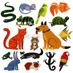 商店图标套图图片_宠物一套彩色图标与猫和狗，鱼，
